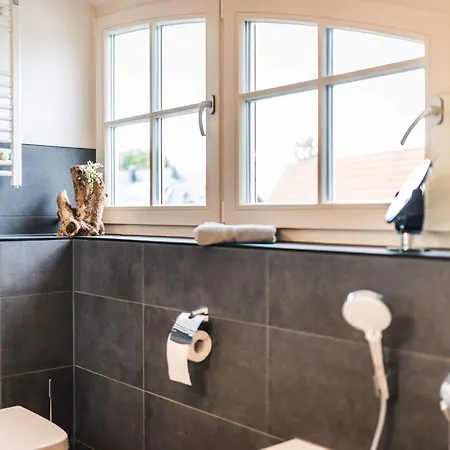 Alea Holiday home Zingst